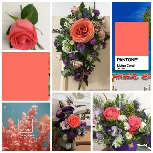 Pantone Colour of the Year for 2019 Weddings - Living Coral